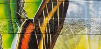 Matrimonial Mural - A Unique Wedding Gift Story with Michael Haley