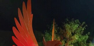 Artistic Alchemy: Merging Math, Art, and Innovation with Joe O'Connell